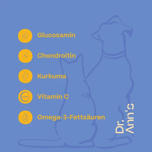 Dr. Ann's Mobility Support Plus – Bild 2