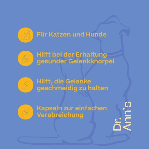 Dr. Ann's Mobility Support Plus – Bild 3