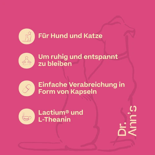 Dr. Ann's Stress Reduction – Bild 2