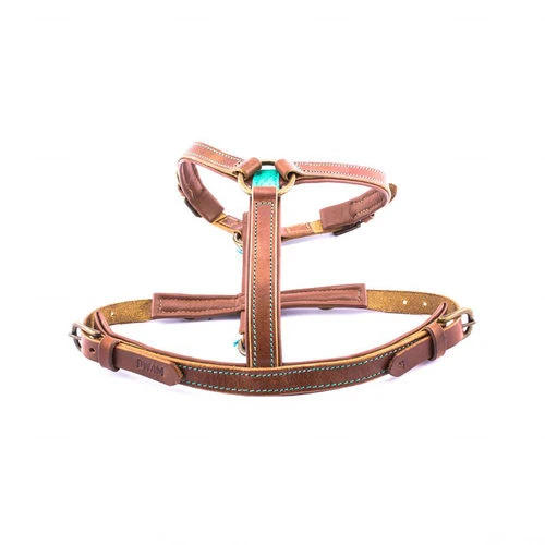 DWAM Hundegeschirr Boho Juan – Bild 2