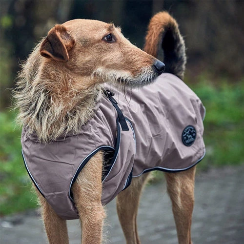 Hunter Hundemantel Uppsala – Bild 8