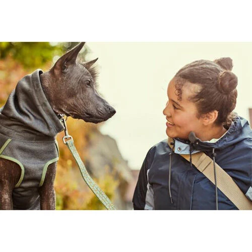 Hurtta Razzle-Dazzle Blackberry – Bild 2