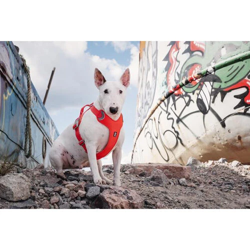 Hurtta Weekend Warrior Eco Geschirr – Bild 2