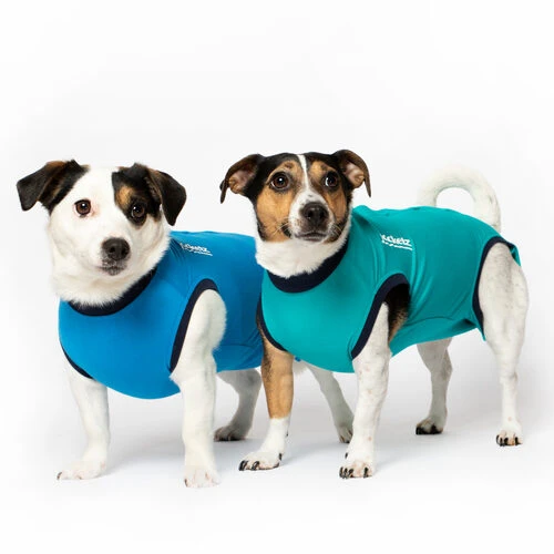 Jacketz Medical Body Suit Für Hunde – Bild 3
