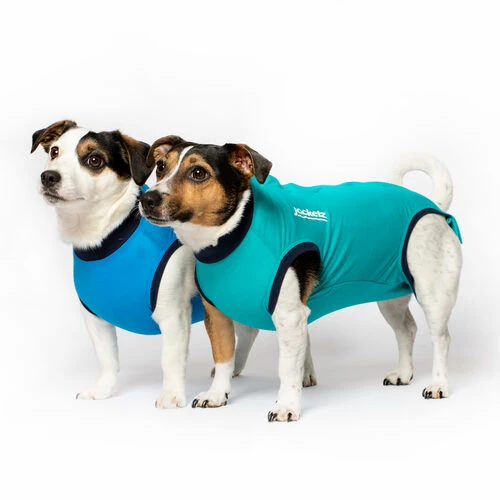 Jacketz Medical Body Suit Für Hunde – Bild 4