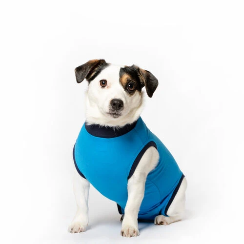 Jacketz Medical Body Suit Für Hunde – Bild 2