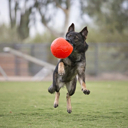 Jolly Soccer Ball – Bild 3