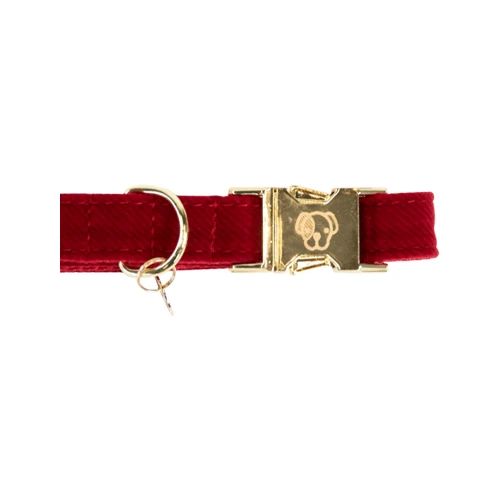Kentucky Dogwear Corduroy Hundehalsband – Bild 6