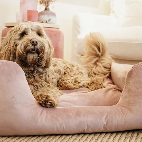 Kentucky Dogwear Velvet Hundekorb – Bild 2