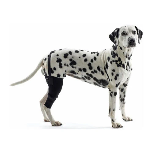 Kruuse Rehab Knieschutz