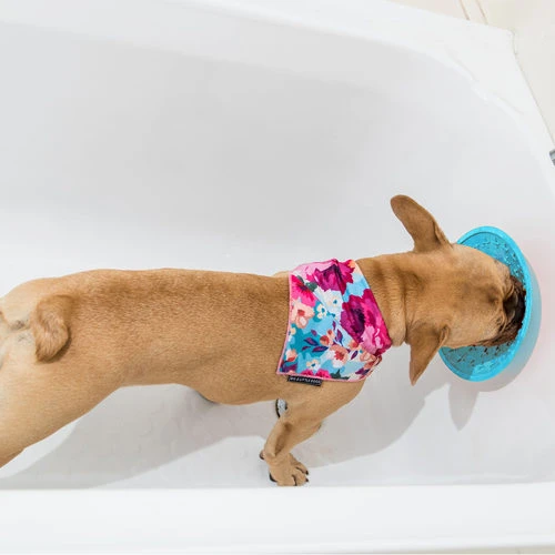 LickiMat Splash – Bild 2