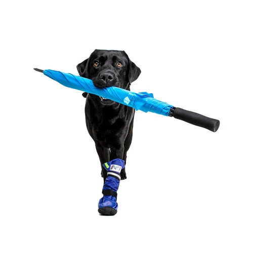 Medical Pet Shirt Boot – Bild 3