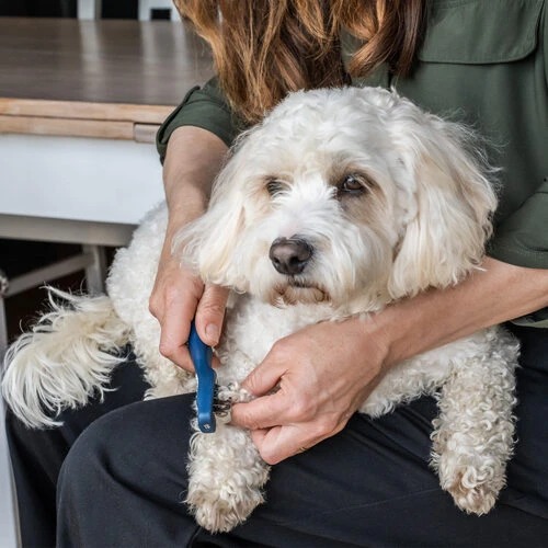 Mikki Doodle De-Matter – Bild 4