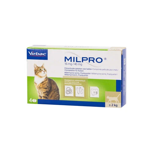 Milpro Katze – Bild 3