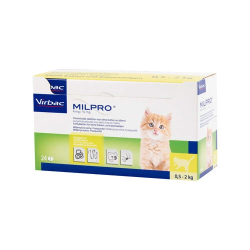 Milpro Katze – Bild 2