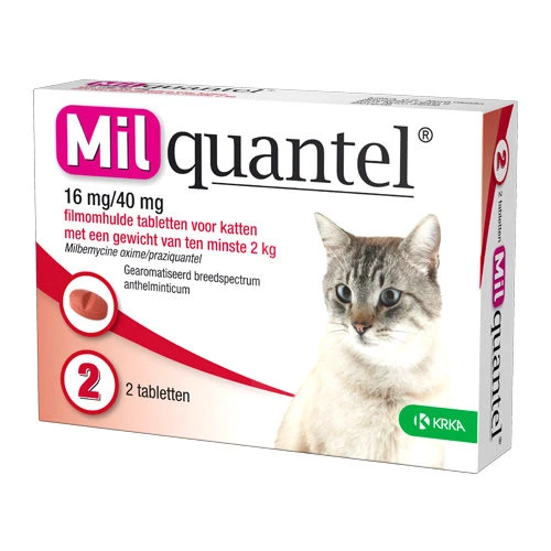 Milquantel Katze – Bild 4