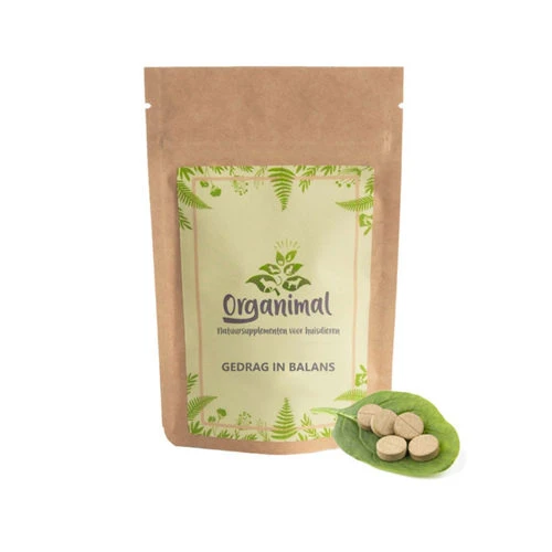 Organimal Verhalten In Balance Für Katzen