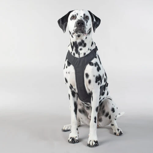 PAIKKA Visibility Harness – Bild 6