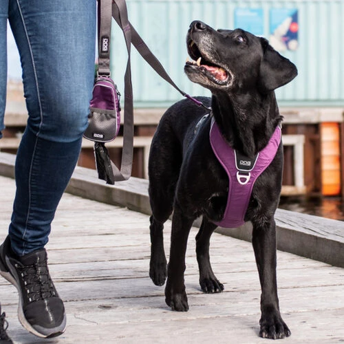 DOG Copenhagen Comfort Walk Pro Geschirr – Bild 13