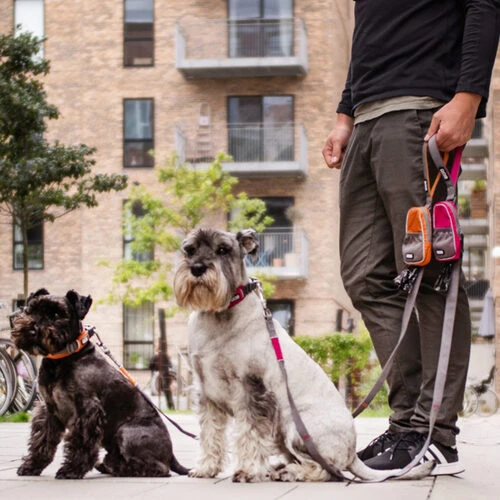 DOG Copenhagen Urban Trail Leine – Bild 2