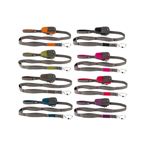 DOG Copenhagen Urban Trail Leine