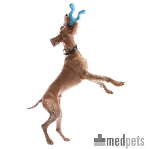 Zogoflex Tizzi - Dog Toy – Bild 2