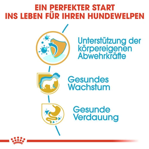 Royal Canin Jack Russell Terrier Puppy - Hundefutter – Bild 2