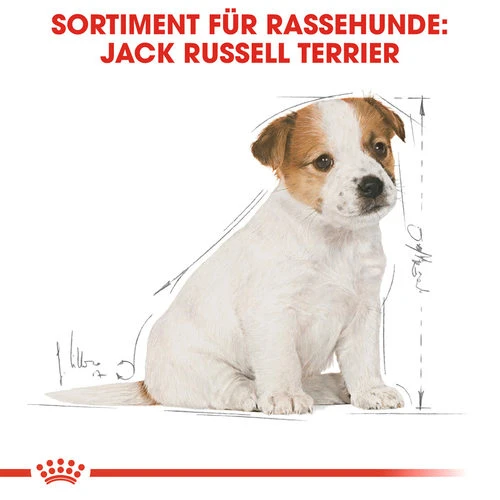 Royal Canin Jack Russell Terrier Puppy - Hundefutter – Bild 4