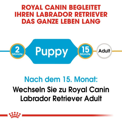 Royal Canin Labrador Retriever Puppy - Hundefutter – Bild 5