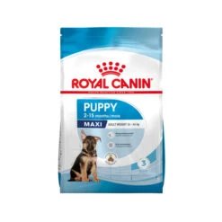 Royal Canin Maxi Puppy - Hundefutter