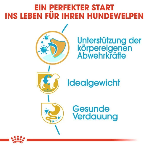 Royal Canin Mini Schnauzer Puppy - Hundefutter – Bild 2