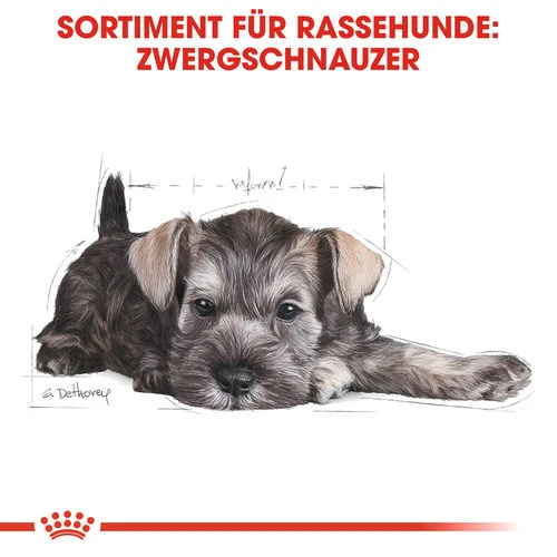 Royal Canin Mini Schnauzer Puppy - Hundefutter – Bild 3