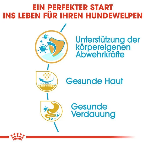 Royal Canin Pug Puppy - Hundefutter – Bild 2