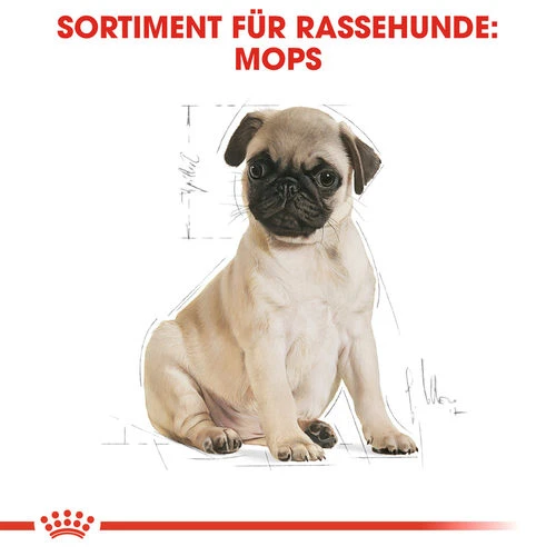 Royal Canin Pug Puppy - Hundefutter – Bild 4