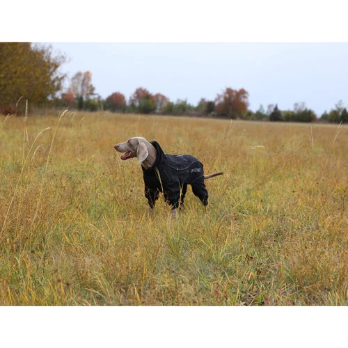 RukkaPets Protect Overall – Bild 3