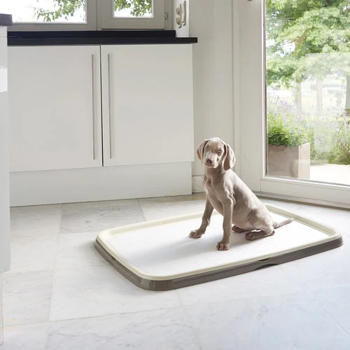 Savic Puppy Trainer + Pads – Bild 5