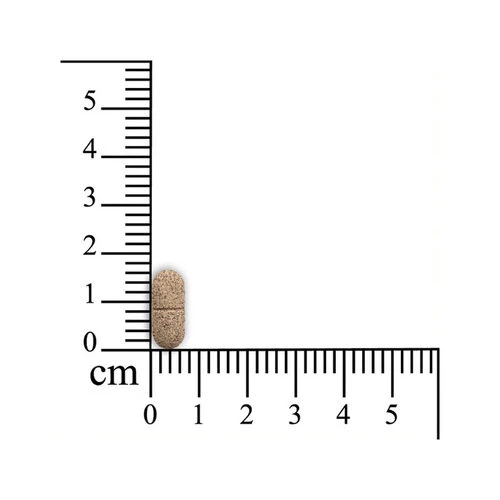 Monoderma Dry Hunde – Bild 3