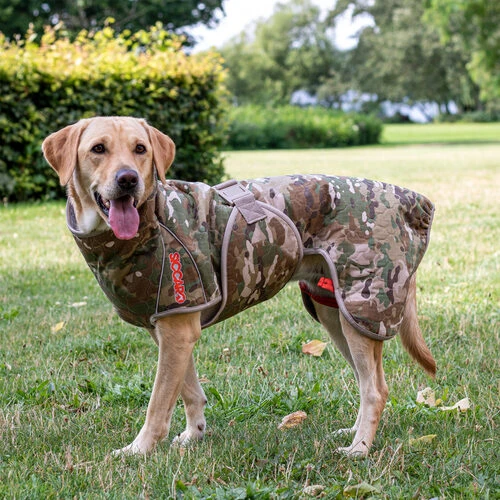 Siccaro Spirit 2.0 – Bild 2