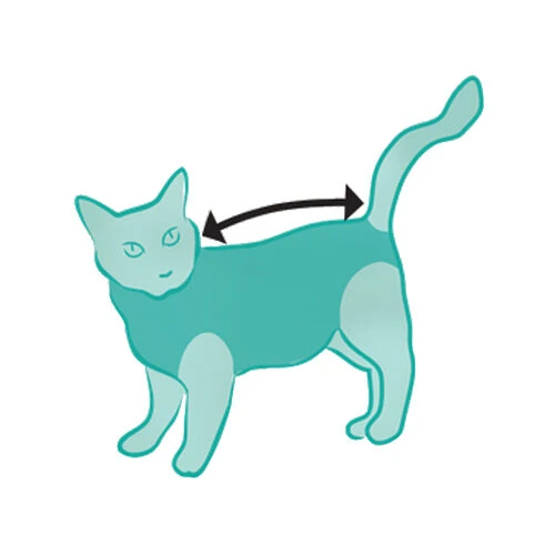 Suitical Recovery Suit Katze – Bild 2