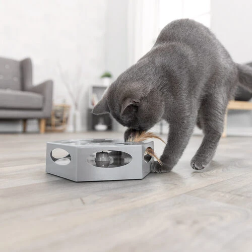 Trixie Turning Feather – Bild 3